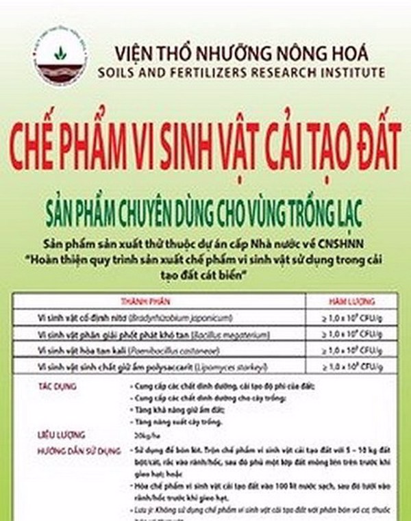 Hoàn thiện quy trình sản xuất chế phẩm vi sinh vật sử dụng trong cải tạo đất cát biển