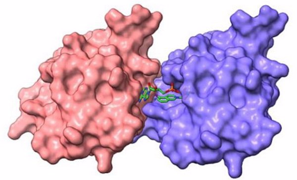 Khối enzyme mở ra phương pháp điều trị mới cho các bệnh thoái hóa thần kinh