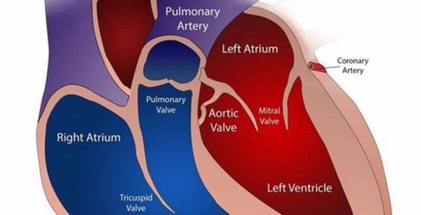 Statin giảm nguy cơ bệnh tim mạch và tỷ lệ tử vong ở bệnh nhân viêm khớp dạng thấp, chỉ làm tăng nguy cơ tiểu đường một cách khiêm tốn