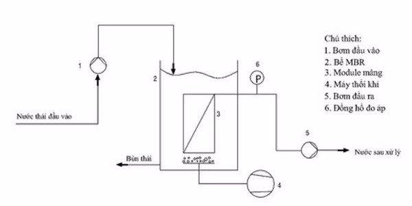 Xử lý ô nhiễm do kháng sinh trong nước thải bằng công nghệ sinh học