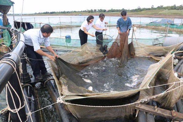 Trợ lực giúp người dân thoát nghèo