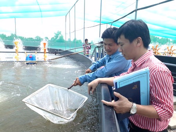 168 tỷ đồng thúc đẩy khoa học công nghệ ngành nông nghiệp