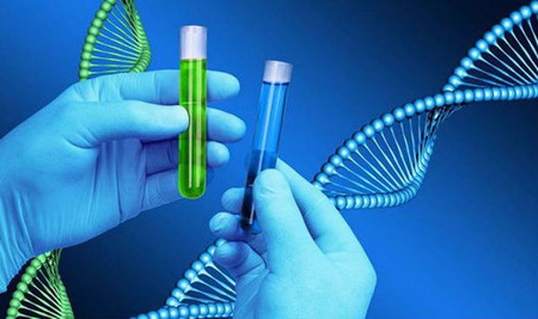 Ứng dụng phân tích DNA đầu tiên trên điện thoại