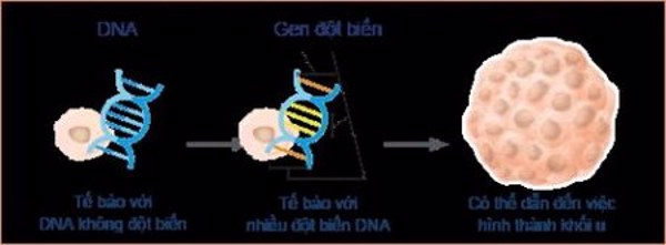 Ung thư: Phát hiện sốc cho thấy ngay cả mô khỏe mạnh cũng bị đột biến