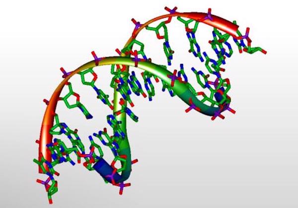 Cơ học lượng tử có thể giải thích DNA có thể đột biến một cách tự nhiên