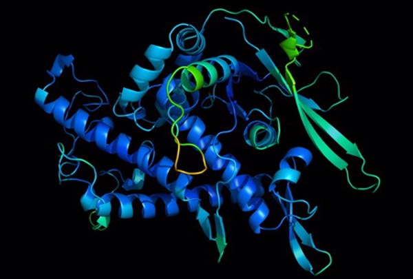 AI của Deepmind "thay đổi cuộc chơi" giải cấu trúc protein