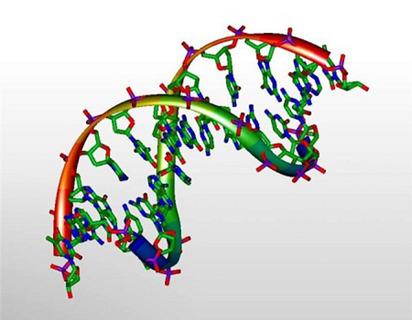 Kỹ thuật mới rọi ánh sáng vào chuỗi xoắn DNA