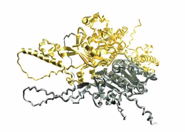 Science chọn thuật toán giải cấu trúc protein là đột phá khoa học của năm