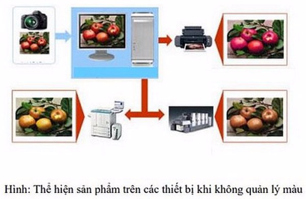 Nghiên cứu quản lý màu trong sản phẩm in chất lượng cao và đề xuất ứng dụng trong thực tế