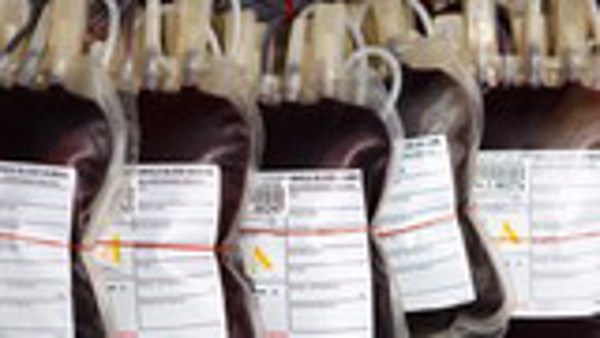Sắp có chất thay thế giải quyết tình trạng thiếu hụt máu hiến tặng