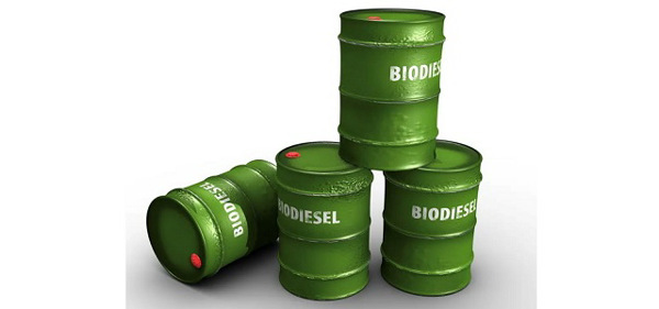 Sản xuất dầu diesel sinh học - nhiên liệu xanh, bền vững