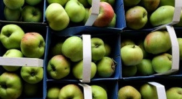 Phương pháp mới ép nước táo giúp tăng cường lợi ích sức khỏe