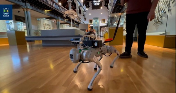 Chó AI dẫn đường: giải pháp hứa hẹn cho người khiếm thị