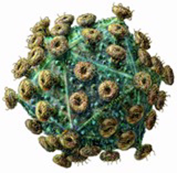 Phát hiện kháng thể vô hiệu hóa virus HIV