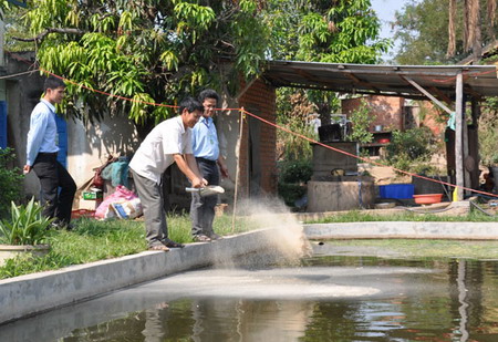 Cán bộ NHCSXH huyện Krông Bông thăm một mô hình sản xuất hiệu quả từ vốn vay của đơn vị.