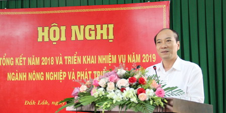 Chủ tịch UBND tỉnh Phạm Ngọc Nghị phát biểu tại hội nghị