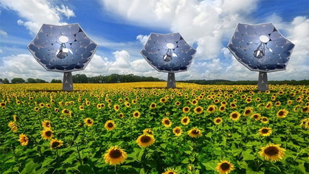 Hệ thống Sunflower 