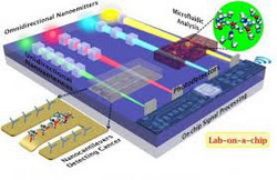 Đây là một biểu đồ nanoanten khối đơn hướng tạo ra tính định hướng cho các máy phát nano nhiều chiều.