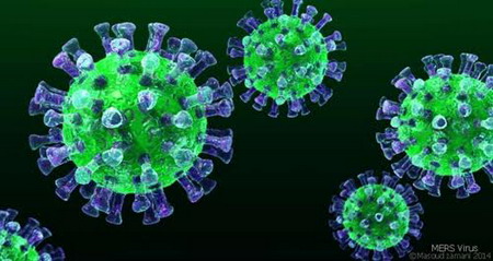 Hình ảnh 3D của virus MERS-CoV.