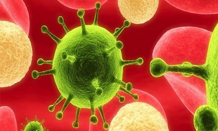 Các nhà khoa học Mỹ tạo ra siêu kháng thể mới có khả năng tiêu diệt 99% chủng virus HIV.