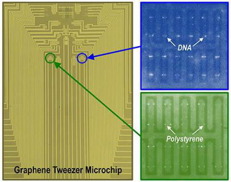 Nhíp Graphene có thể "gắp" các hạt nhựa polystyrene và thậm chí là các phân tử ADN.