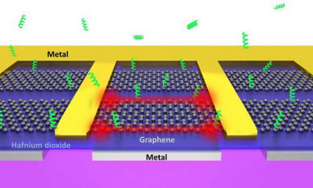 Nhíp graphene có cấu trúc tương tự như bánh sandwich: hafnium dioxide được kẹp giữa một kim loại điện cực và graphene