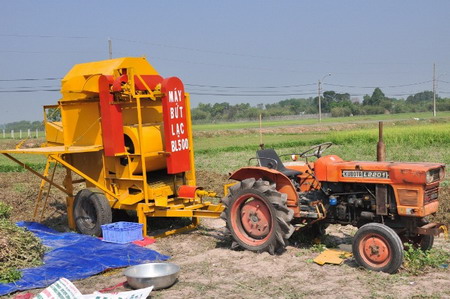 Máy bứt củ lạc - Một kết quả nghiên cứu được chuyển giao đến các tỉnh Đồng Tháp, Tây Ninh, Long An, Nghệ An