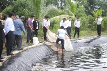 Một mô hình nuôi cá của công ty Thanh Hương