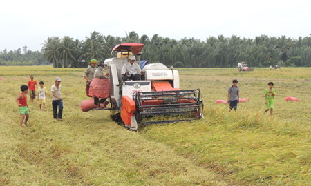 Bản đồ công nghệ sẽ chỉ rõ ngành lúa gạo Việt Nam ở phân khúc nào và thời gian tới cần sản xuất giống lúa gì để cạnh tranh với các nước.